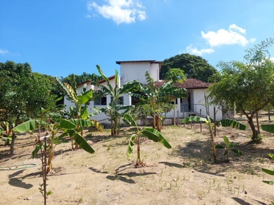 Sítio, 4 quartos, 5500 m² - Foto 2