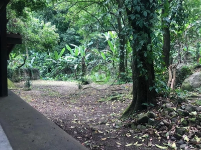 Sítio, 1 quarto, 6000 m² - Foto 4