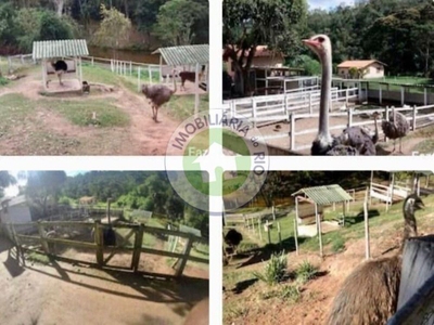 Prédio Inteiro - Foto 4