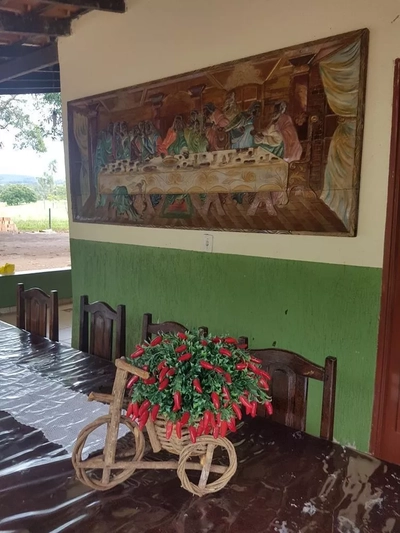 Sítio, 3 quartos, 400 m² - Foto 2