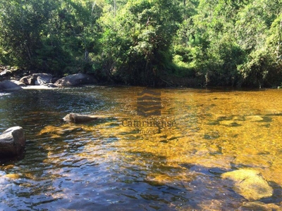 Sítio, 30 hectares - Foto 1