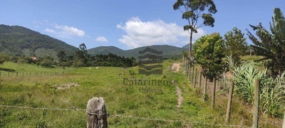 Terreno, 6500 m² - Foto 5