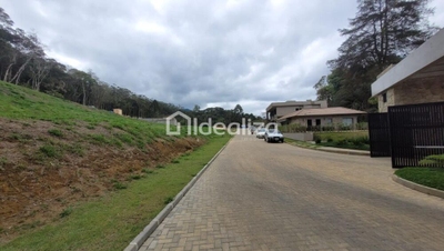 Terreno, 350 m² - Foto 4