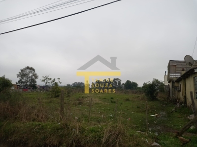 Terreno, 3000 m² - Foto 3