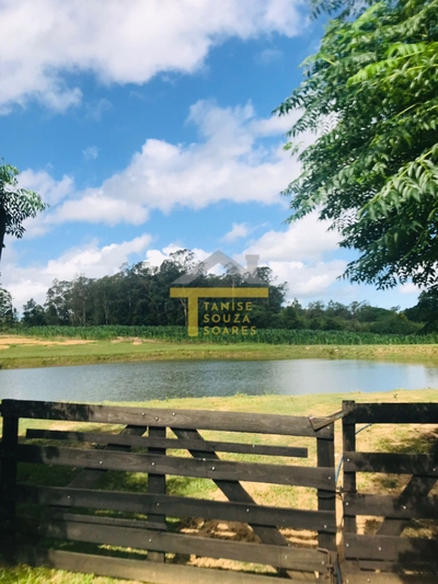 Sítio, 4 quartos, 11500 m² - Foto 2