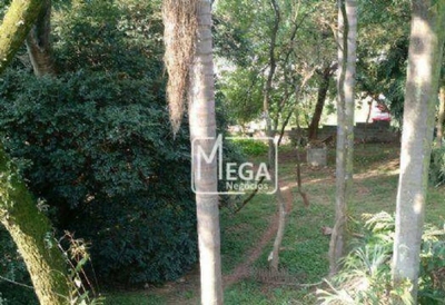 Chácara, 4 quartos, 1800 m² - Foto 3