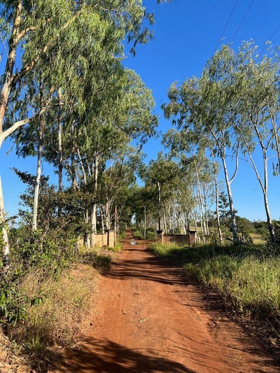 Fazenda-Sítio-Chácara, 4 quartos - Foto 3