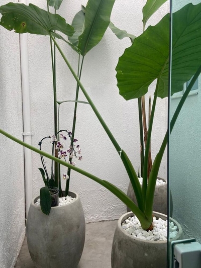 Sobrado, 3 quartos, 138 m² - Foto 1