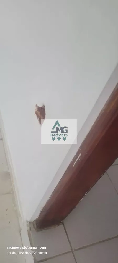 Loja-Salão, 230 m² - Foto 4