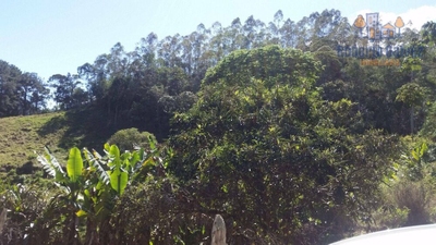 Terreno, 23 hectares - Foto 2