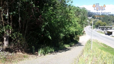 Terreno, 23 hectares - Foto 3