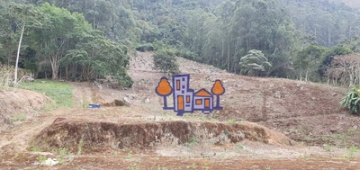 Terreno, 4 hectares - Foto 5