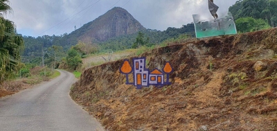 Terreno, 4 hectares - Foto 3