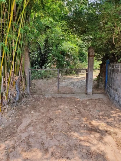 Terreno, 9 hectares - Foto 4