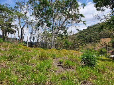 Terreno, 9 hectares - Foto 5