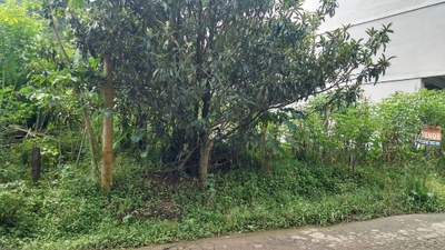 Terreno, 439 m² - Foto 2