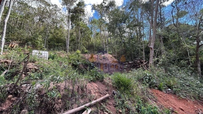 Terreno, 2950 m² - Foto 3