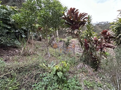 Chácara, 1 quarto, 1000 m² - Foto 4