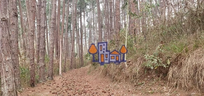 Terreno, 16 hectares - Foto 5