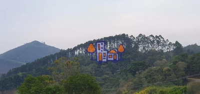 Terreno, 16 hectares - Foto 3