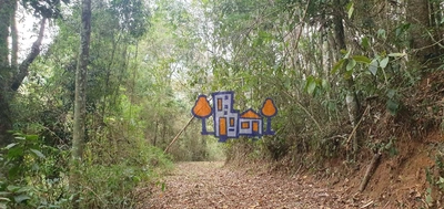 Terreno, 16 hectares - Foto 4