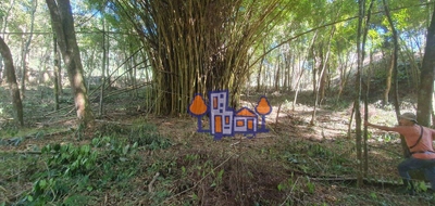 Terreno, 7500 m² - Foto 3