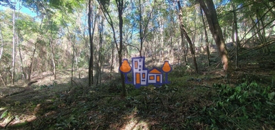 Terreno, 7500 m² - Foto 4