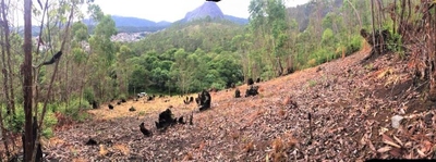 Terreno, 935 m² - Foto 2