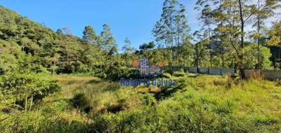 Terreno, 72 hectares - Foto 2