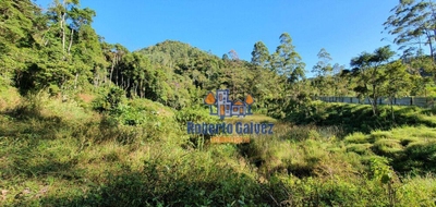 Terreno, 72 hectares - Foto 1