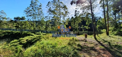 Terreno, 72 hectares - Foto 4