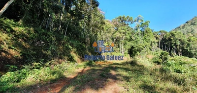 Terreno, 72 hectares - Foto 3