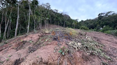 Terreno, 2 hectares - Foto 2