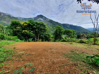 Terreno, 601 m² - Foto 2