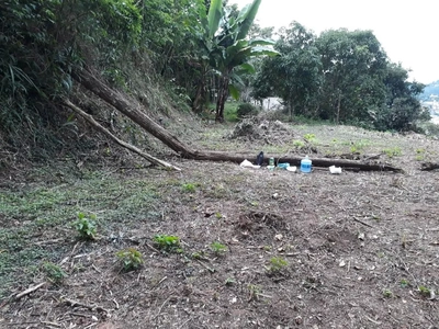 Terreno, 2231 m² - Foto 3