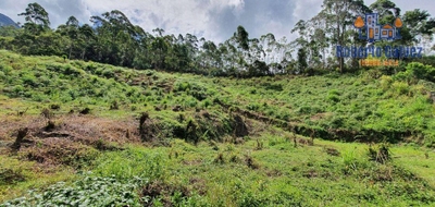 Terreno, 6572 m² - Foto 5