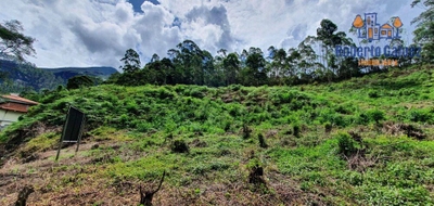 Terreno, 6572 m² - Foto 3