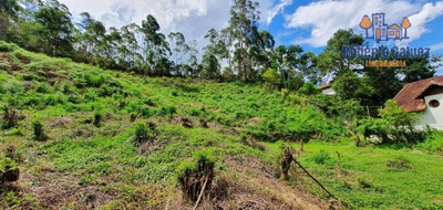 Terreno, 6572 m² - Foto 4