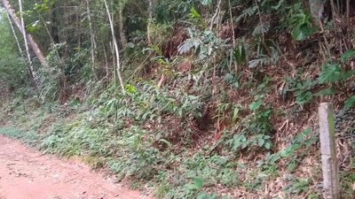 Terreno, 1178 m² - Foto 1