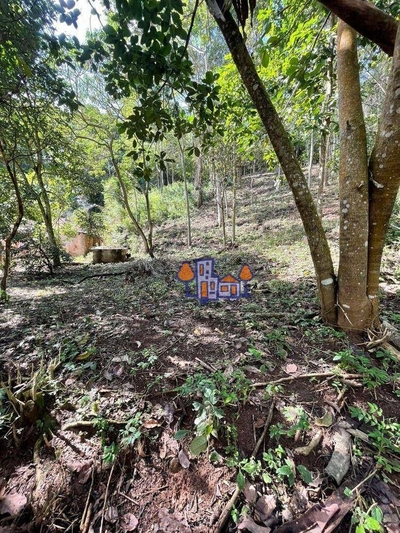 Terreno, 1533 m² - Foto 2