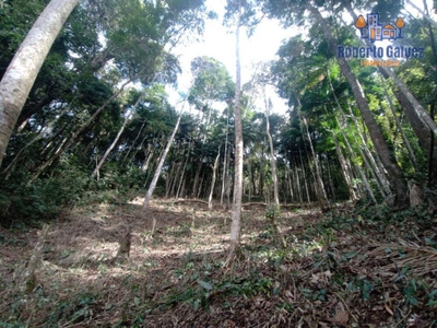 Terreno, 1345 m² - Foto 1