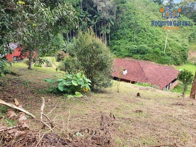 Sítio, 2 quartos, 15 hectares - Foto 3