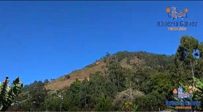 Terreno, 22 hectares - Foto 3