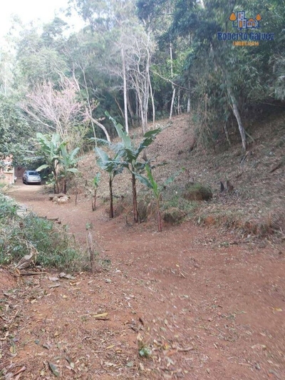 Terreno, 7884 m² - Foto 3