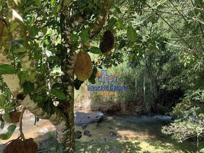 Sítio, 6 quartos, 16 hectares - Foto 4