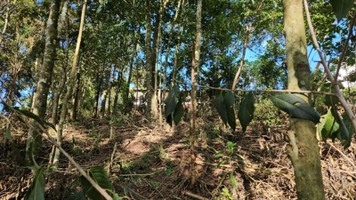 Terreno, 1100 m² - Foto 5