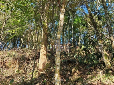 Terreno, 1100 m² - Foto 4