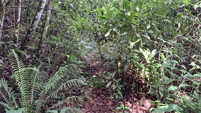 Casa de Condomínio - Foto 2