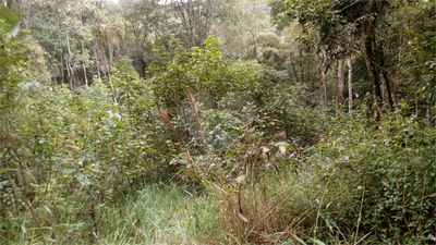 Casa de Condomínio - Foto 3