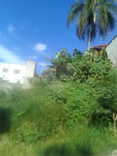 Terreno, 250 m² - Foto 1